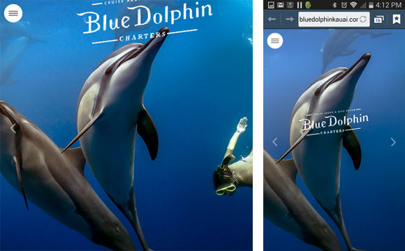 blue-dolphin-charters-mobile-website-design