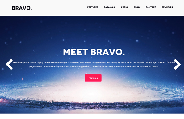 bravo wordpress theme