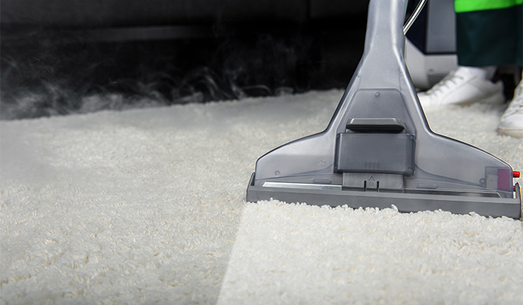seo guide to carpet cleaning