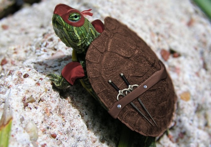 hackerturtle