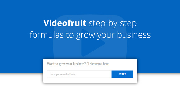 videofruit-full-website-design